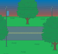 A simple little landscape, showing an empty road with some trees & utility poles surrounding it.
